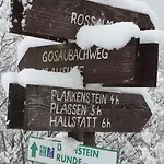 Haarlem Apartamento Gosau