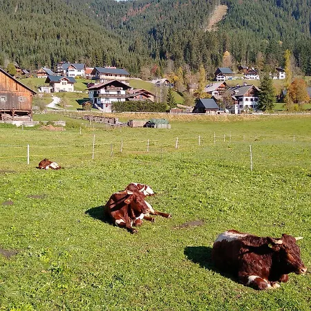 Apartment Haarlem Gosau Apartment