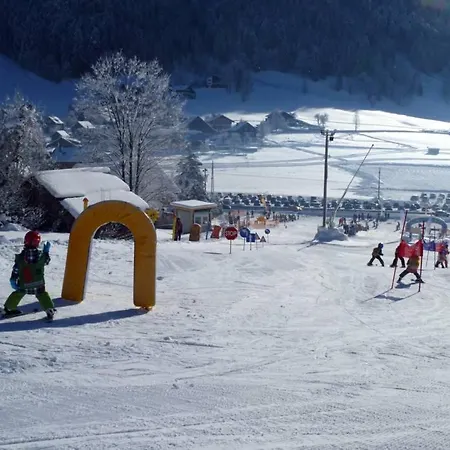 Haarlem Διαμέρισμα Gosau