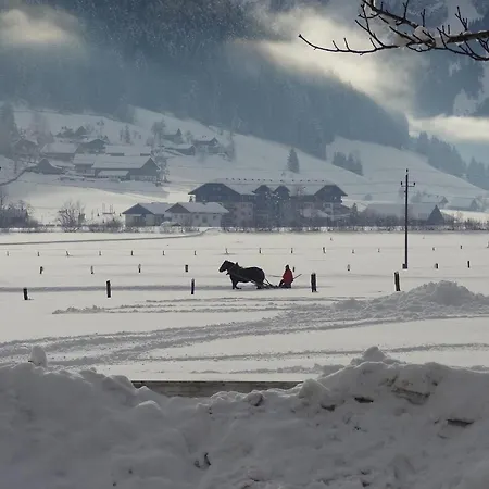 Apartment Haarlem Gosau Lägenhet Gosau