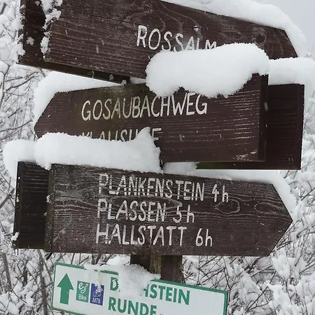 Haarlem Apartment Gosau