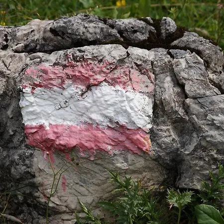 Διαμέρισμα Haarlem Gosau