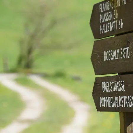 Haarlem Διαμέρισμα