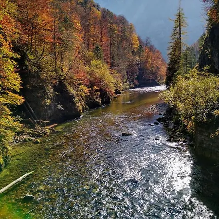 Haarlem Διαμέρισμα