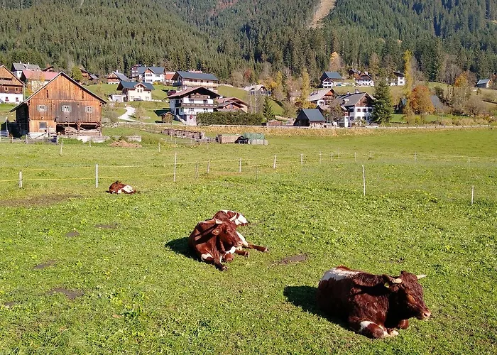 Apartment Haarlem Gosau Apartment