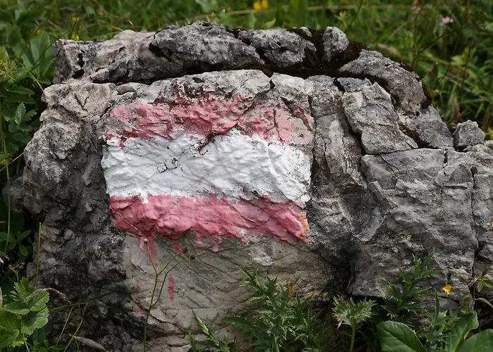 Lägenhet Apartment Haarlem Gosau Gosau