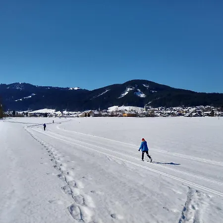 Haarlem アパート *