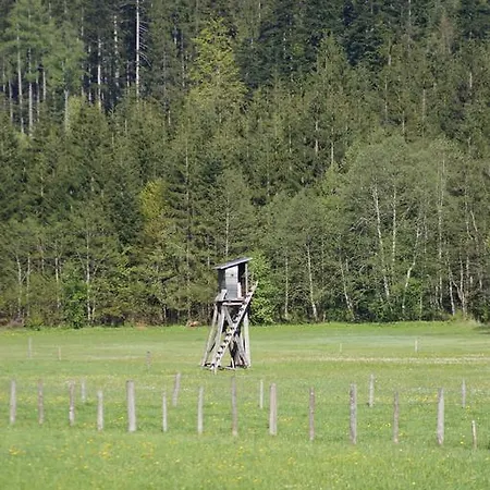 アパート Haarlem