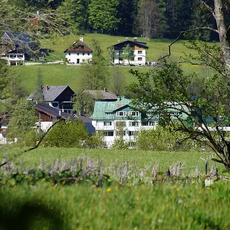 アパート Haarlem *