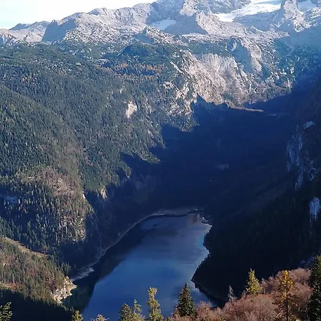 Haarlem アパート ゴーザウ