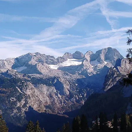 Haarlem ゴーザウ