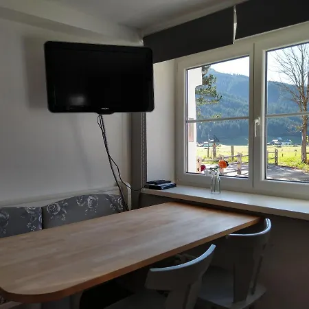 Apartment Haarlem Gosau Gosau