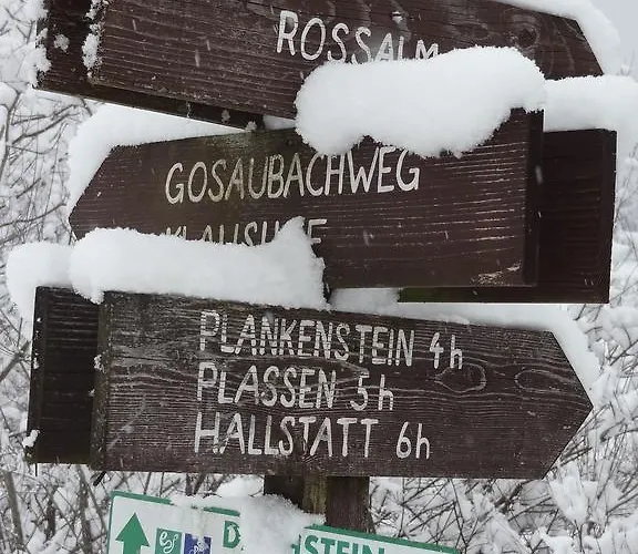 Haarlem Apartman Gosau